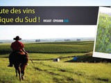 Ivcast 38 : Sur la route des vins en Amérique du Sud