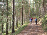 J’ai testé la marche nordique en Finlande
