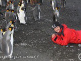 Kerguelen et les taaf : c’est pas pour toi petit