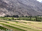 La vallée de l’Elqui, c’est fort en Pisco