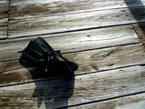Les îles Bahia au Honduras et l’invasion du poisson scorpion