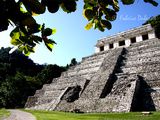 Les mystérieuses cités des Mayas : de Palenque à Tikal