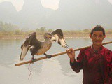 Les pêcheurs aux cormorans de Yangshuo : attrape touristes