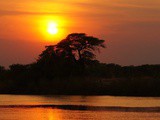 Lettre à toi, lecteur d’Afrique