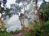 Ma visite du Parc Royal National de Chitwan