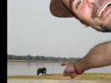 Préparer son safari en Afrique : l’essentiel à savoir