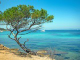 Road trip de 15 jours sur la Côte d’Azur : itinéraire et budget