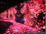 Teamlab Borderless : visite d’un autre monde à Tokyo