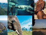 Un cadeau pour votre futur voyage