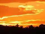 Une nuit avec Madonna dans une ferme de l’outback Australien