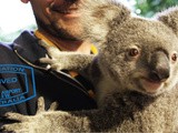 Visa Australie : l’essentiel à savoir