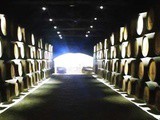 Visiter les caves à vin de Porto : mon guide