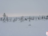 Hetan Majatalo, ma bonne adresse en Laponie Finlandaise