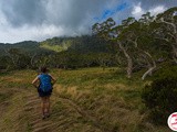 Voyage à La Réunion : Que faire ? Que voir
