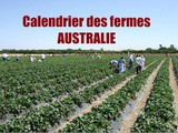 Gratuit Australie : Le calendrier des fermes pour le fruit picking