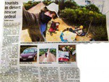 Histoire insolite : trois backpackers survivent en Australie dans le bush