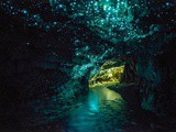 Les grottes magiques de Waitomo Cove en Nouvelle Zélande