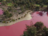 Un lac a viré au rose à Melbourne en Australie