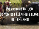 Comment choisir un lieu pour voir les éléphants en Thaïlande