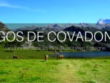 Picos de Europa : les lacs de Covadonga
