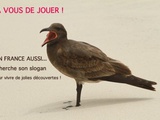 En France aussi… qui trouvera notre slogan