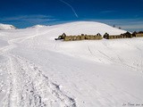 ☃ Rando raquettes à neige dans l’Authion depuis Turini Camp d’Argent