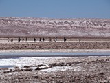 Visiter le désert d’Atacama avec agence ou en indépendant