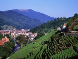 Escapade en Alsace sur la route des vins