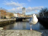 Visiter Dublin, mon top 10