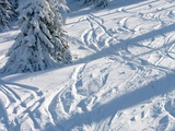 Vive la montagne, Vive la neige, Vivement le ski