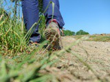 Pourquoi je pars pour une longue marche sur le GR34