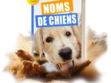 2025 : Nom de Chien en a – La compilation Ultime