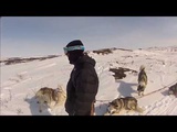Expédition en traîneau à chiens au Nunavik