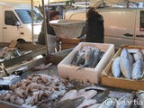 Nauplie : le marché aux poissons