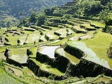 Batad et Banaue ou l’art des rizières en terrasse