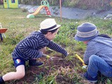 Jour 23 – Les petits Râ du jardin