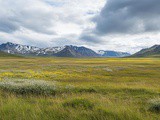 Quelle est la meilleure periode pour visiter l’Islande ? Du printemps a l’hiver, faites le bon choix