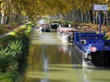 10 bonnes raisons pour découvrir Toulouse