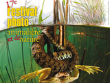 17e Festival International de la Photo Animalière et de Nature, du 21 au 14 novembre 2013 à Montier