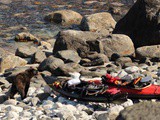 2 semaines en kayak de mer sur la cote du labrador : h2ommes polar expe