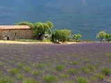 À la découverte de la France : La Provence
