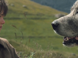 Bande-annonce : Belle et Sébastien, un film de Nicolas Vanier