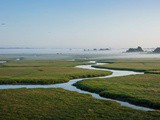 Découvrir les trésors naturels des Pays de la Loire : guide pour une immersion en pleine nature