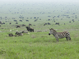 Destination la Tanzanie pour un séjour paradisiaque
