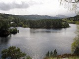 Ecosse