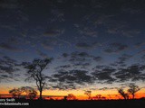 Immersion dans le Kalahari avec le français Jerry Swift