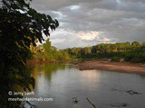 Immersion en Amazonie avec Jerry Swift