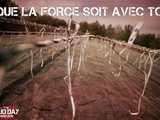 J-1 pour The Mud Day Paris 2014 : Que la force soit avec toi