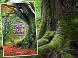 La Vie secrète des arbres : Ce qu’ils ressentent et comment ils communiquent