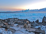 « Le Dragon du Nord » ou 4 mois en solitaire dans l’Arctique